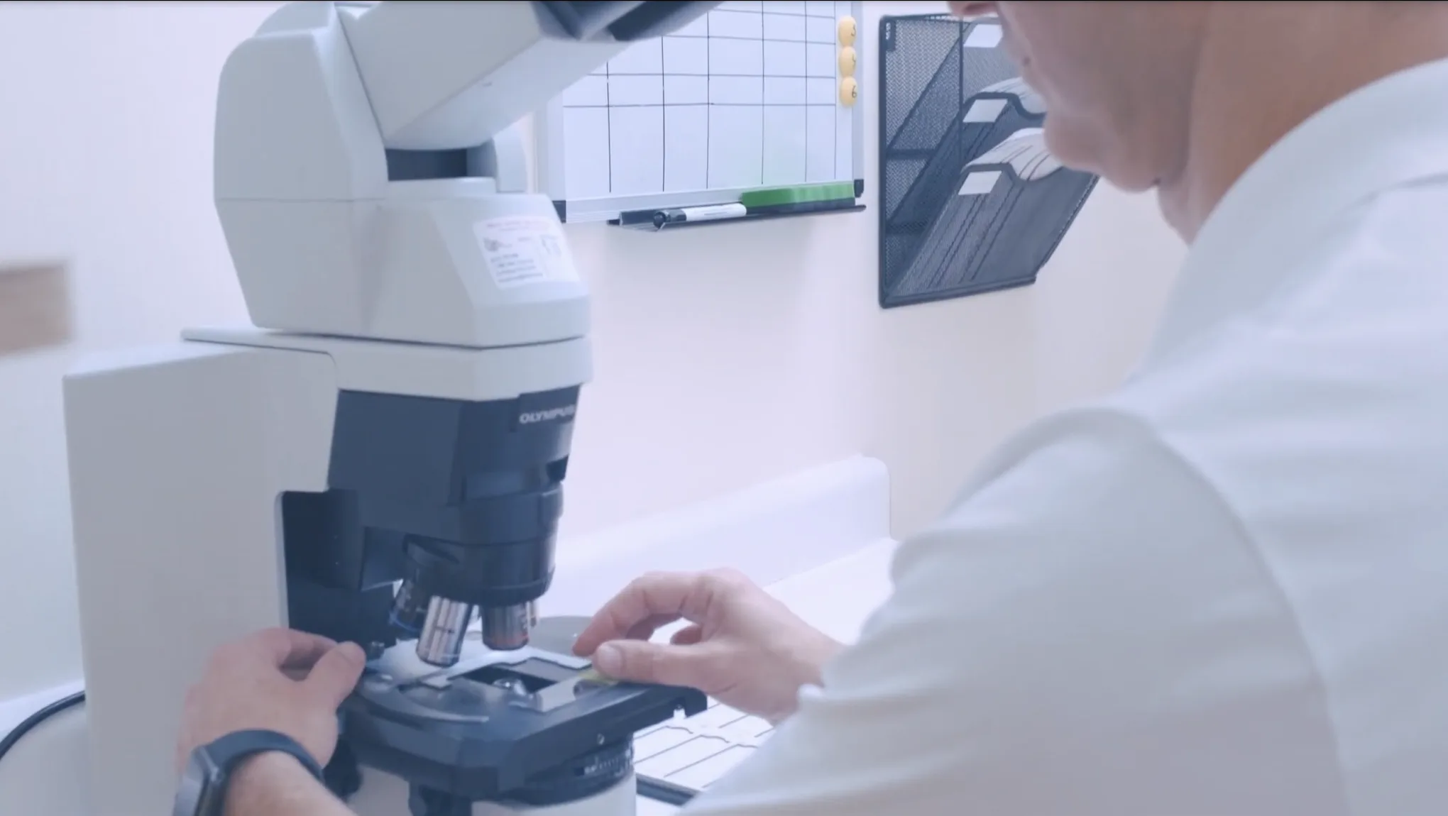 Microscopic Evaluation